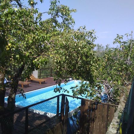Гостьовий будинок Country House Near Флоренція Екстер'єр фото