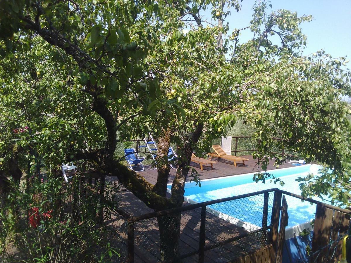 Гостьовий будинок Country House Near Флоренція Екстер'єр фото